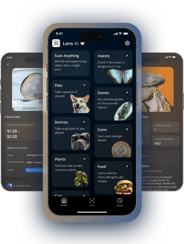 Lens AI app interface